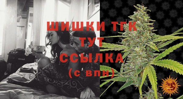 герыч Мегион