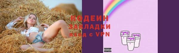 герыч Мегион