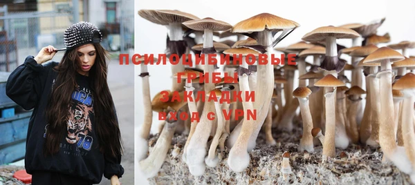 хмурый Медногорск