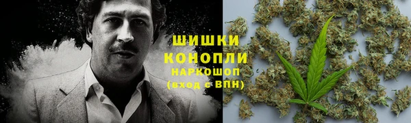 герыч Мегион