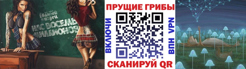 Псилоцибиновые грибы Magic Shrooms  Купить где  Будённовск 